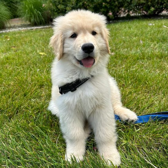 NALA 0 NALA 0